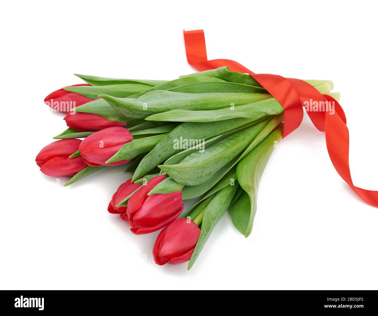 bouquet of fresh red blooming tulips with green leaves and stem ...