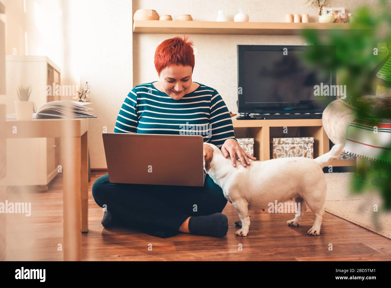 Woman works online using laptop computer, dog interferes. Quarantine coronavirus Stock Photo