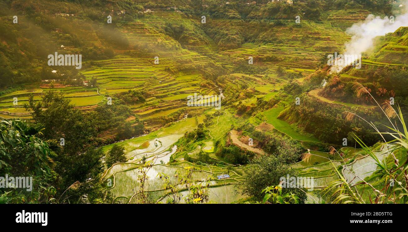 sunset in the rice field terraces in the area of banaue,in Philippines ...