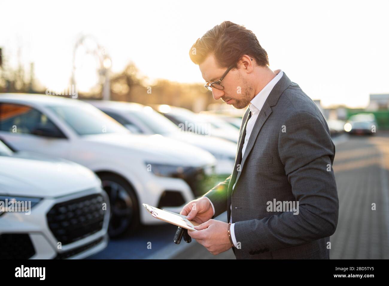 Car salesman at work Stock Photo Alamy
