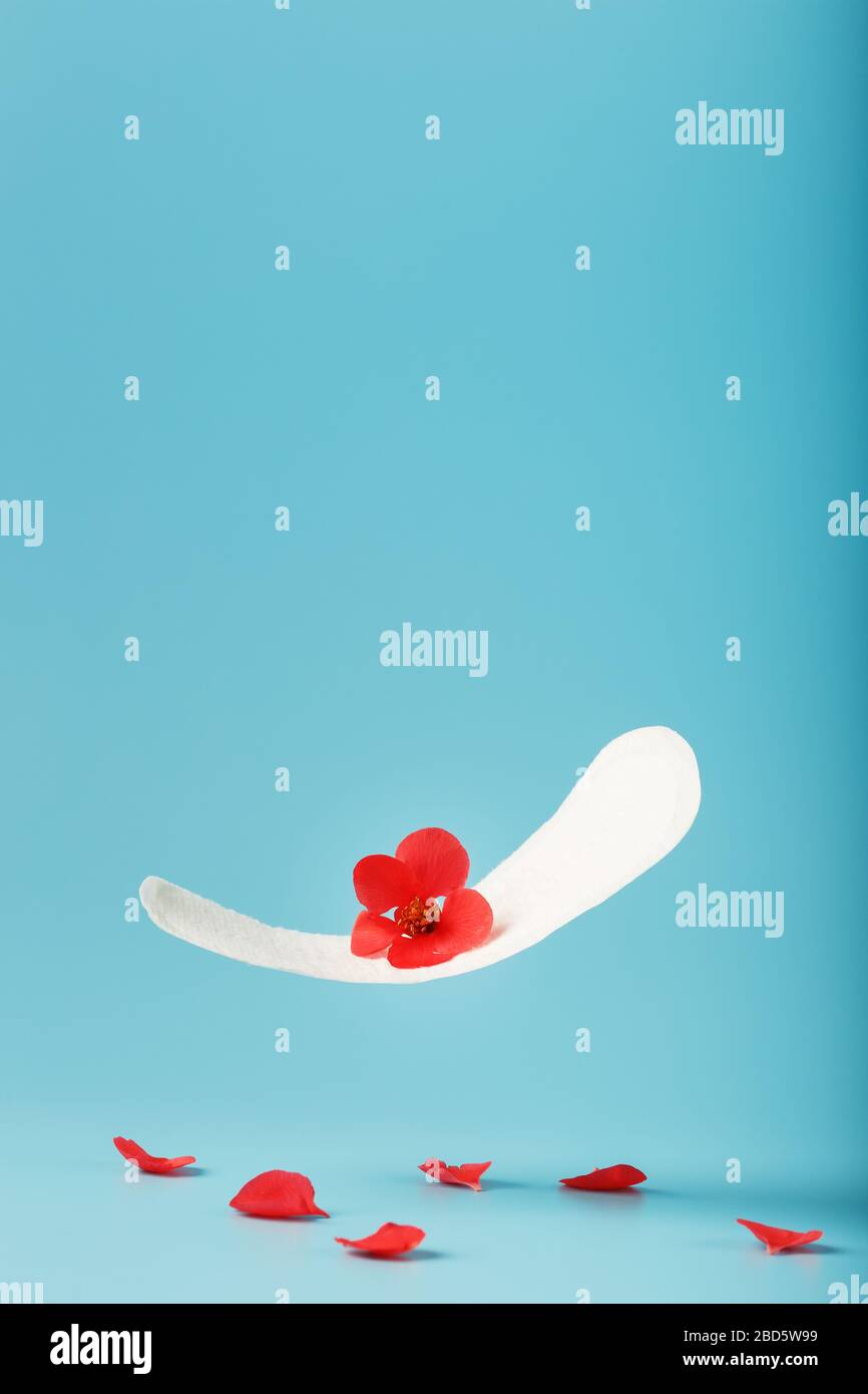 Sanitary pad in flight on a blue background with fallen petals of red flowers. Concept of the beginning of menopause. Stock Photo