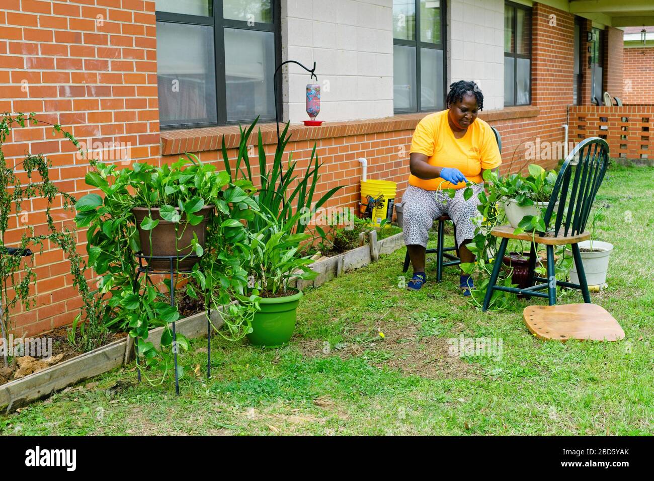 Finding her own way to do social distancing, Joann Woods, of Vernon, Alabama, enjoys her Saturday, March 28th, 2020 by planting flowers. Stock Photo