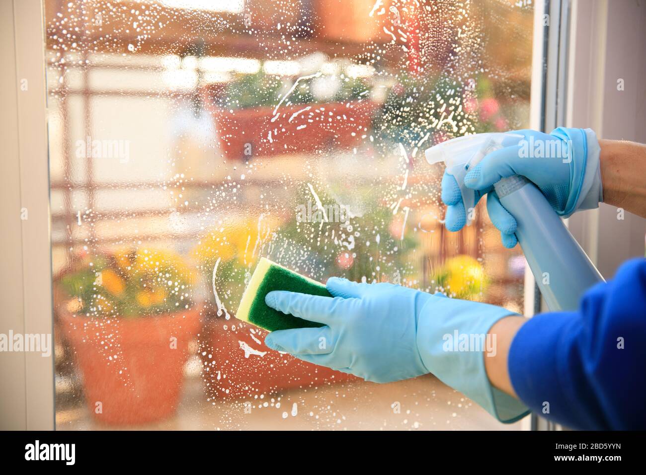housekeeping cleaning the windows, Window cleaner using a squeegee