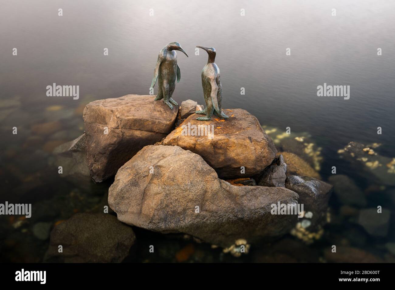 Famous Penguin Bronze Statues in Hobart. Stock Photo
