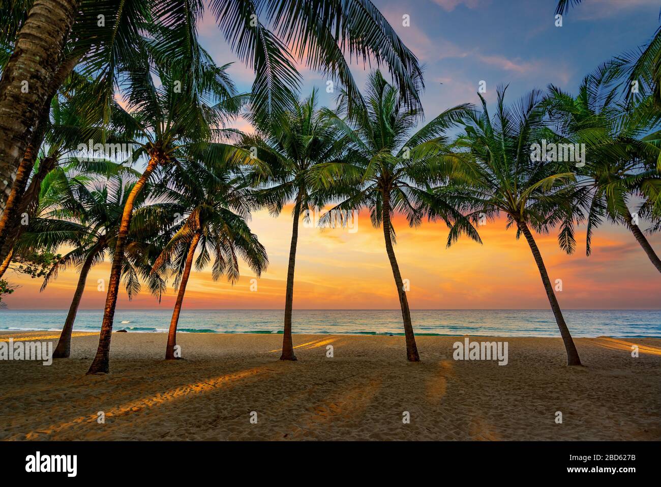 Beautiful sunset at the Tropical beach Stock Photo - Alamy