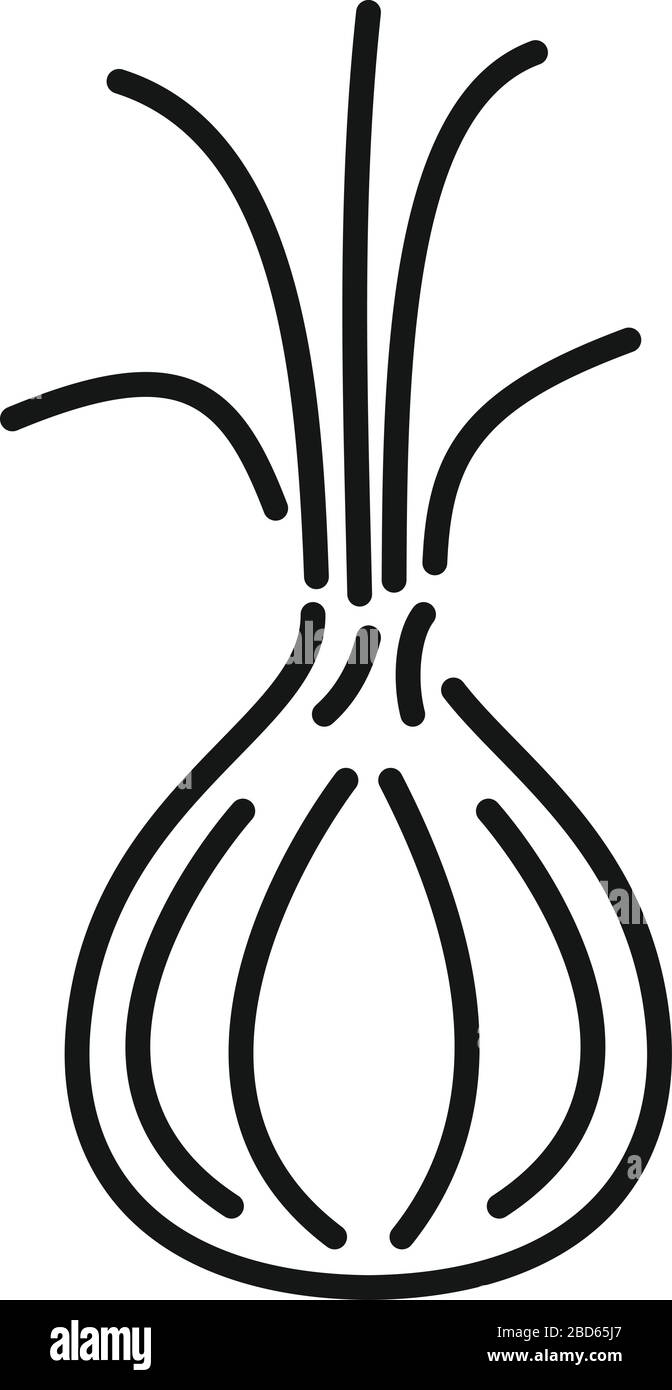 Raw onion icon. Outline raw onion vector icon for web design isolated on  white background Stock Vector Image \u0026 Art - Alamy, image size:672x1390