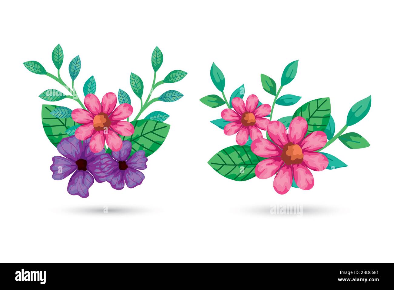 Isolated flowers with leaves vector design Stock Vector Image & Art - Alamy