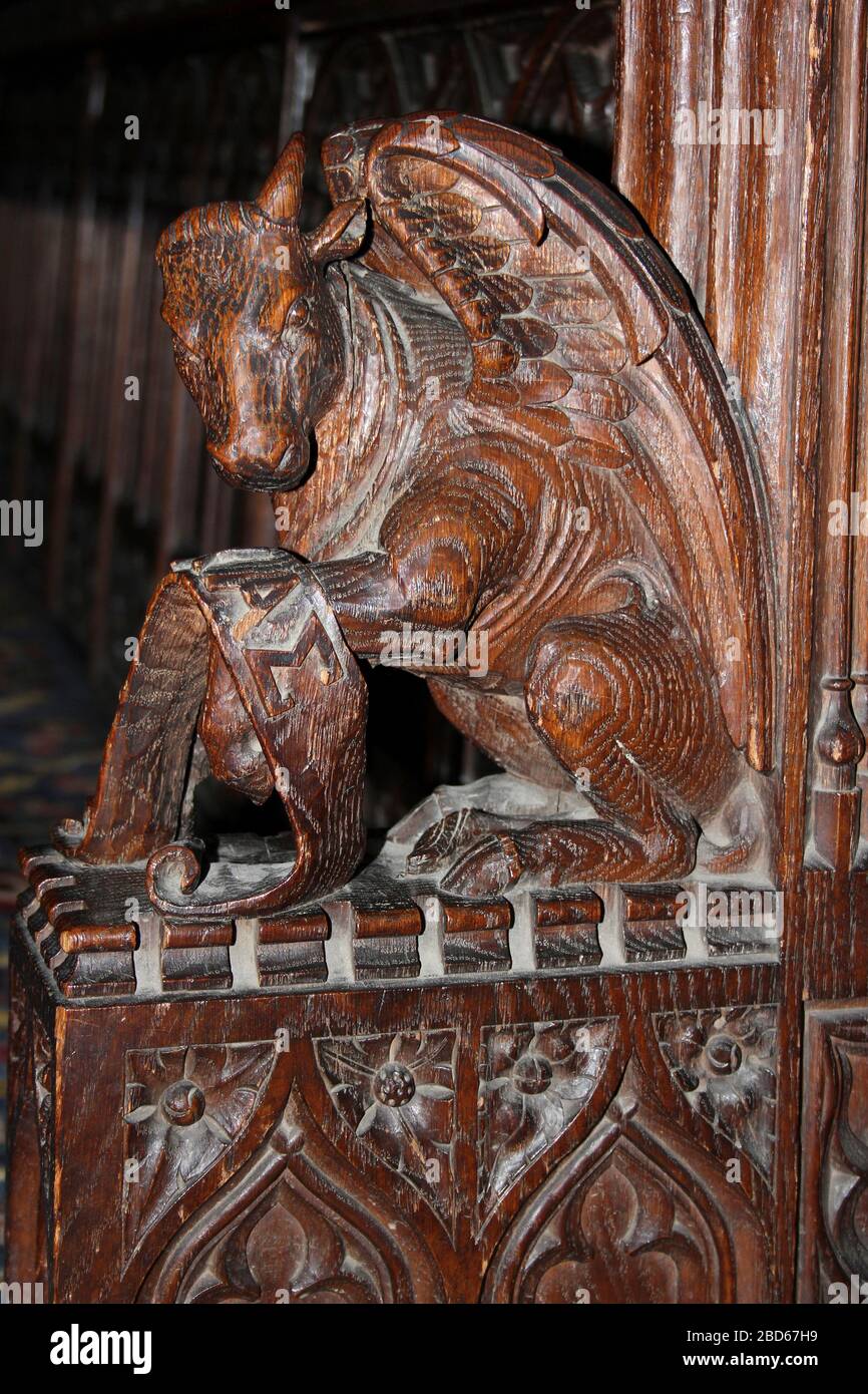 Carving In Chester Cathedral Choir Stalls of a Winged Bull Stock Photo