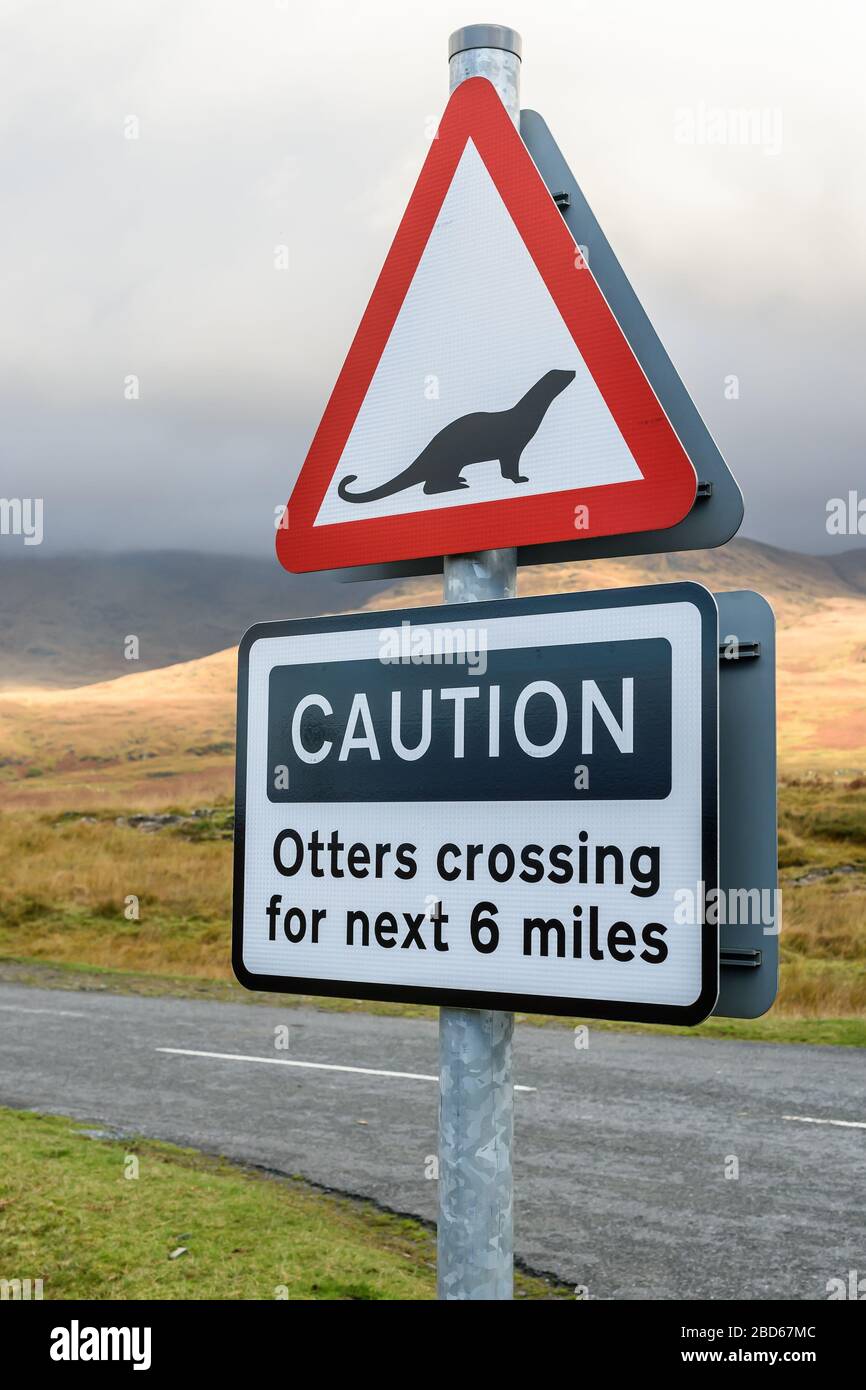 An Otter crossing warning sign near to Pennyghael on the Isle of Mull, Scotland, UK. Stock Photo