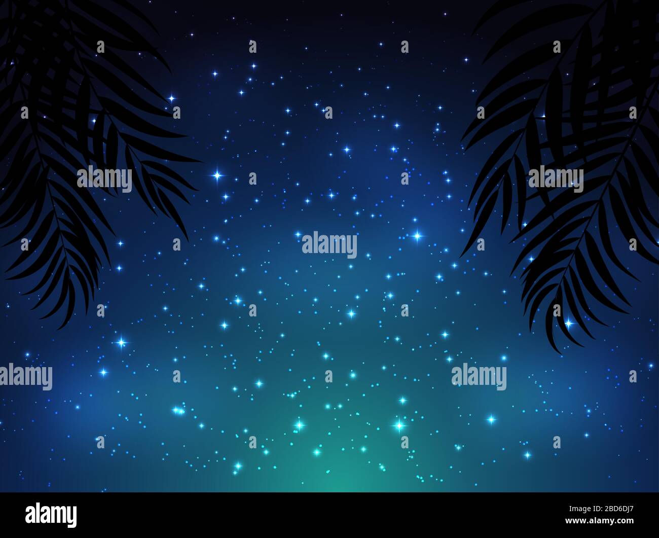Night shining starry sky background with Palm Leaves. Vector ...