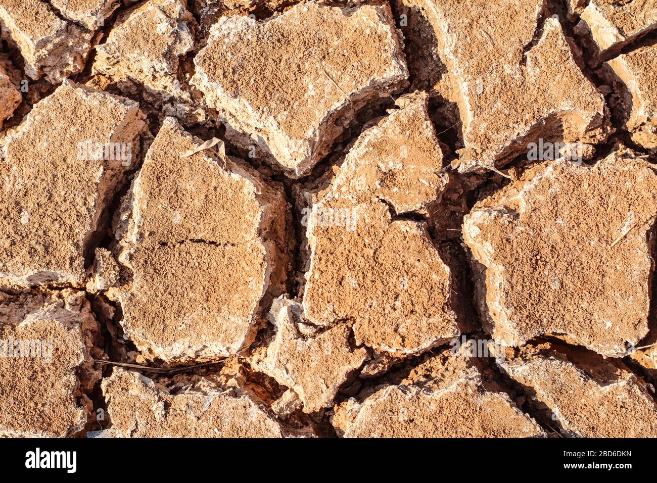cracked soil textured background. Stock Photo