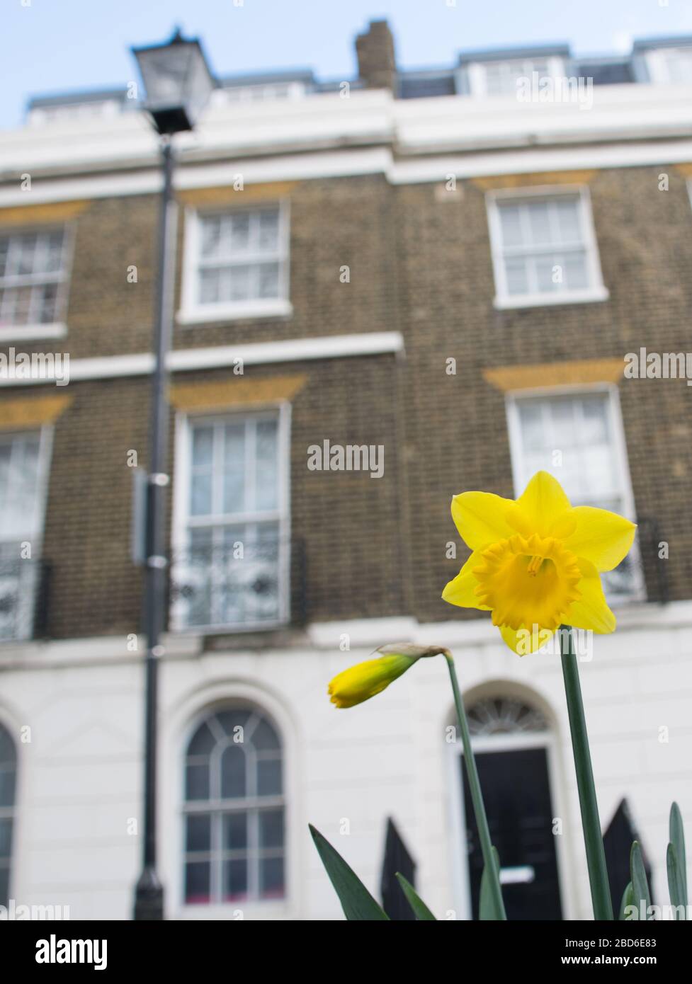 London brixton houses hires stock photography and images Alamy
