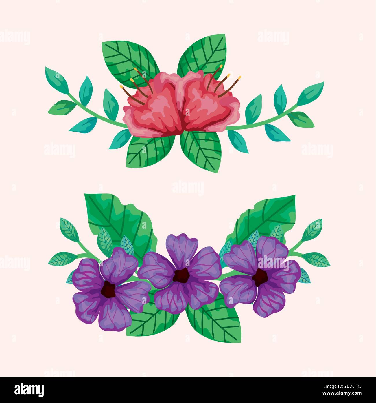 Isolated flowers with leaves vector design Stock Vector Image & Art - Alamy