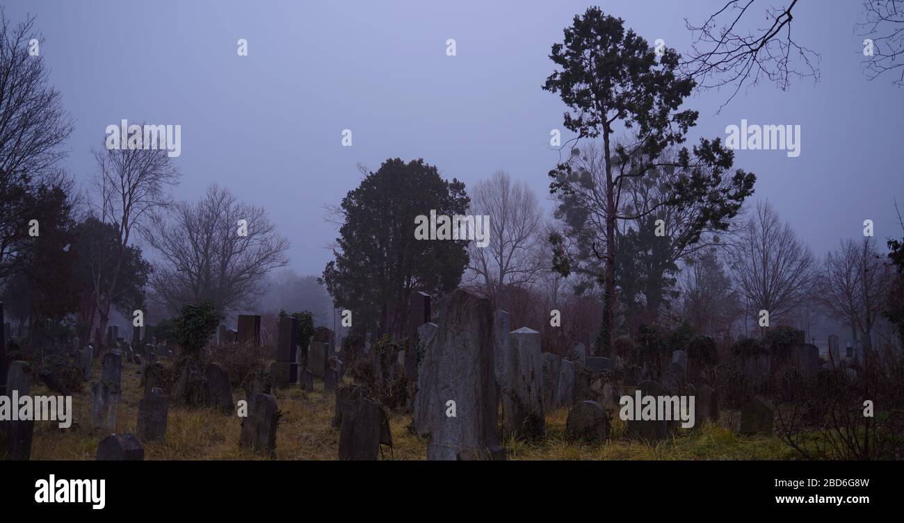 View of cemetery and trees Stock Photo