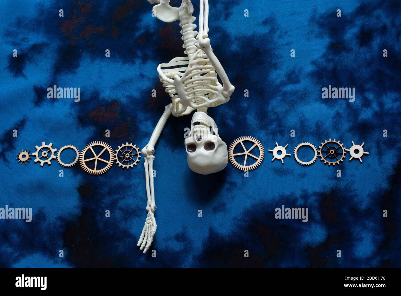 Wooden cogwheels and a artificial skeleton on fabric as concept Stock ...