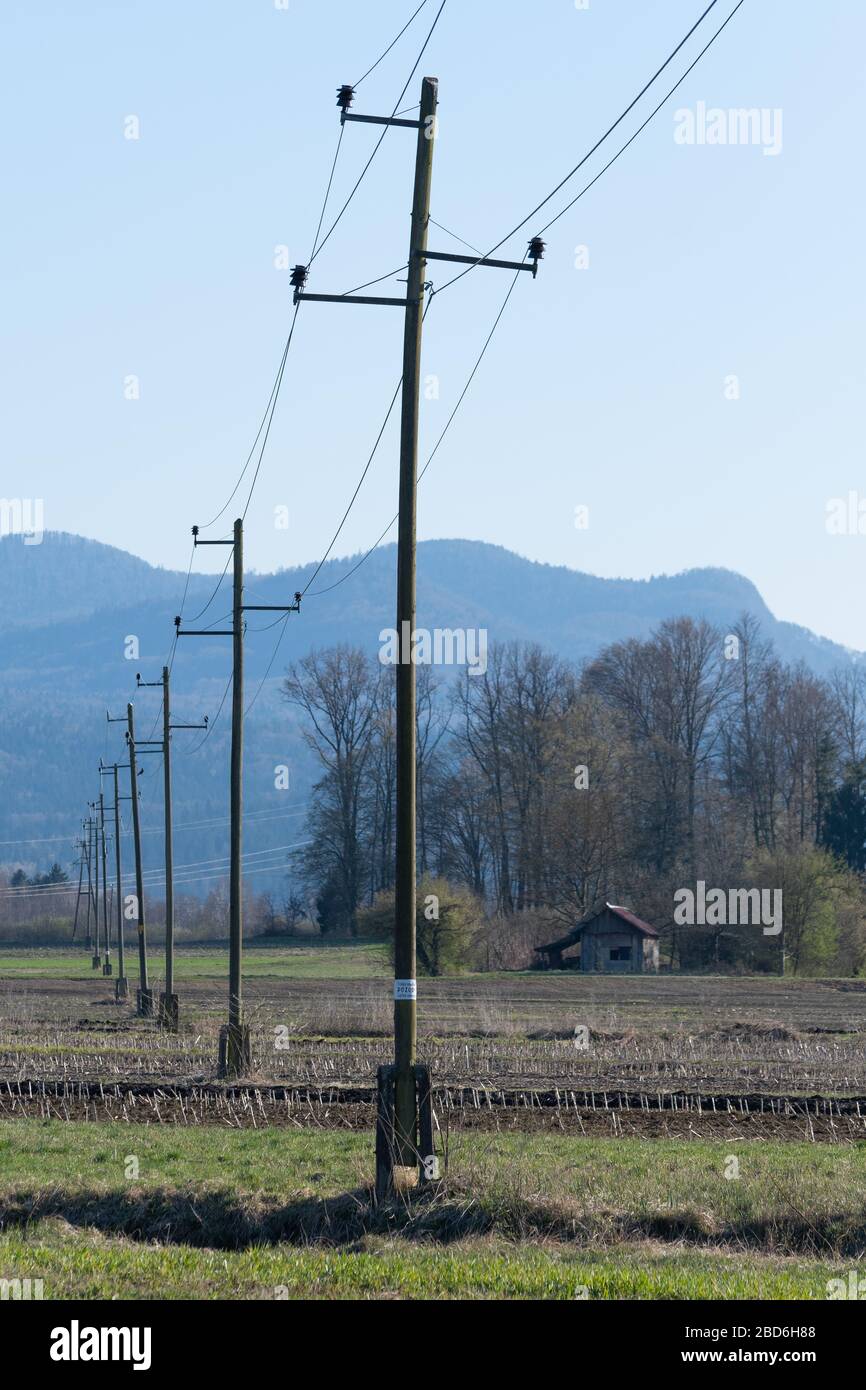 Old wooden three-phase electric utility poles transferring electricity over cultivated agricultural field. Electricity, power distribution and agricul Stock Photo