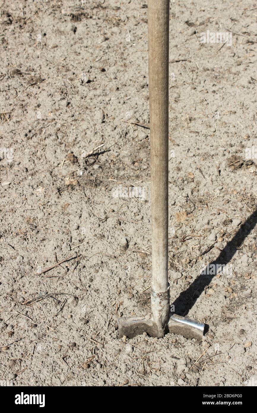 Spade stuck in the ground in a home garden Stock Photo Alamy