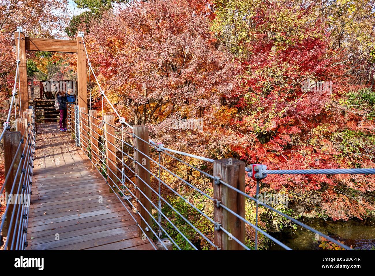 Surrounded by colorful trees hi-res stock photography and images - Alamy