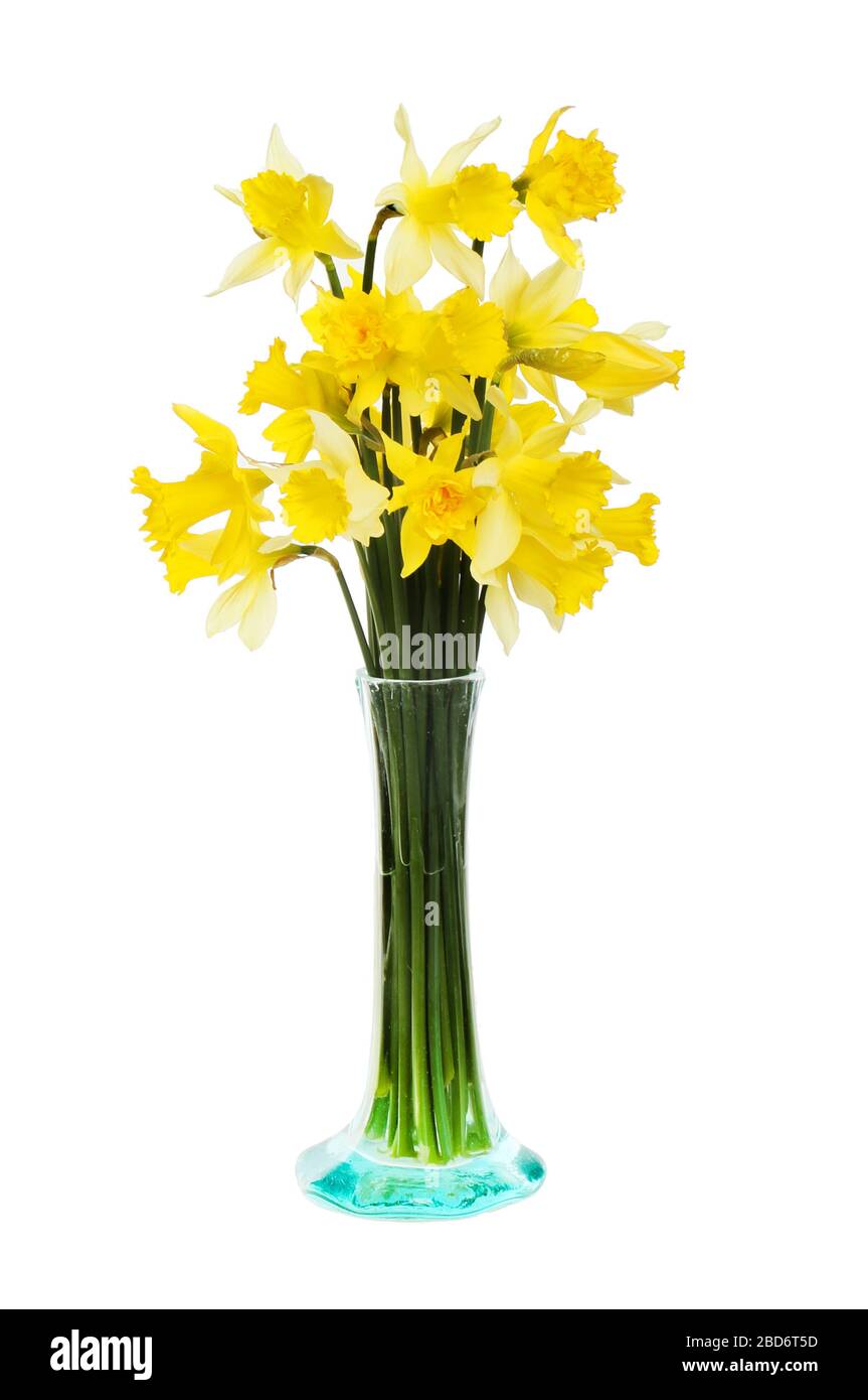 Bunch of daffodils in a vase isolated against white Stock Photo