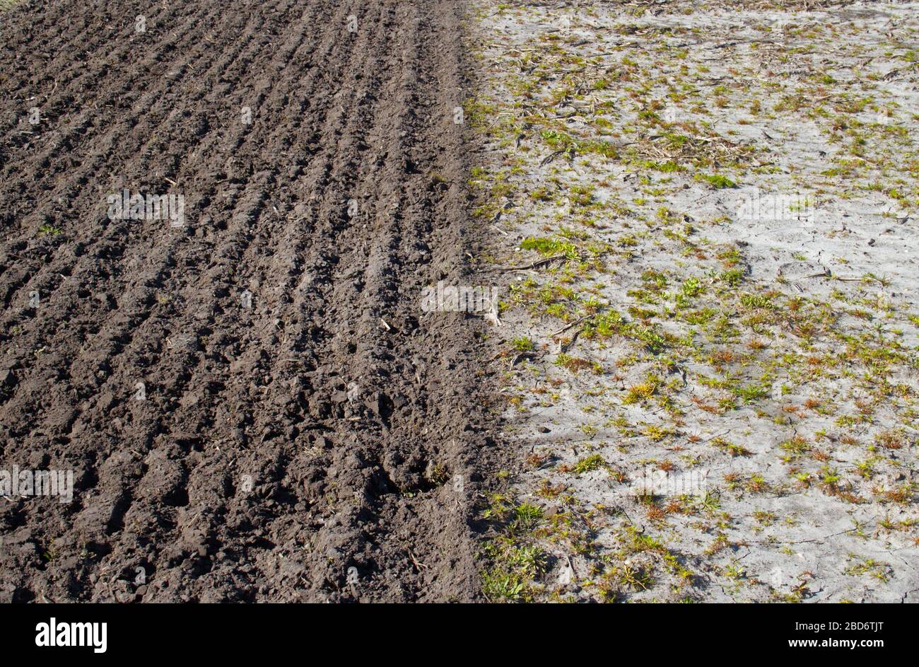 Spring tillage, a partly plowed field Stock Photo