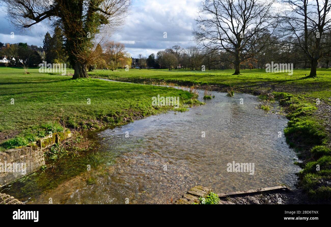 Hughenden Park with water in the stream, which is quite unusual as it's been dry for decades, since Thames Water put a pumping station in the valley. Stock Photo