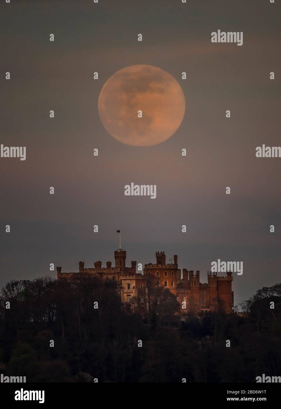A pink supermoon is seen over Belvoir castle in Leicestershire. Despite its name, there is no actual colour change to the appearance of the lunar surface - it is a Northern Native American reference to an early-blooming wildflower, which starts to pop up in the US and Canada at the beginning of spring. Stock Photo