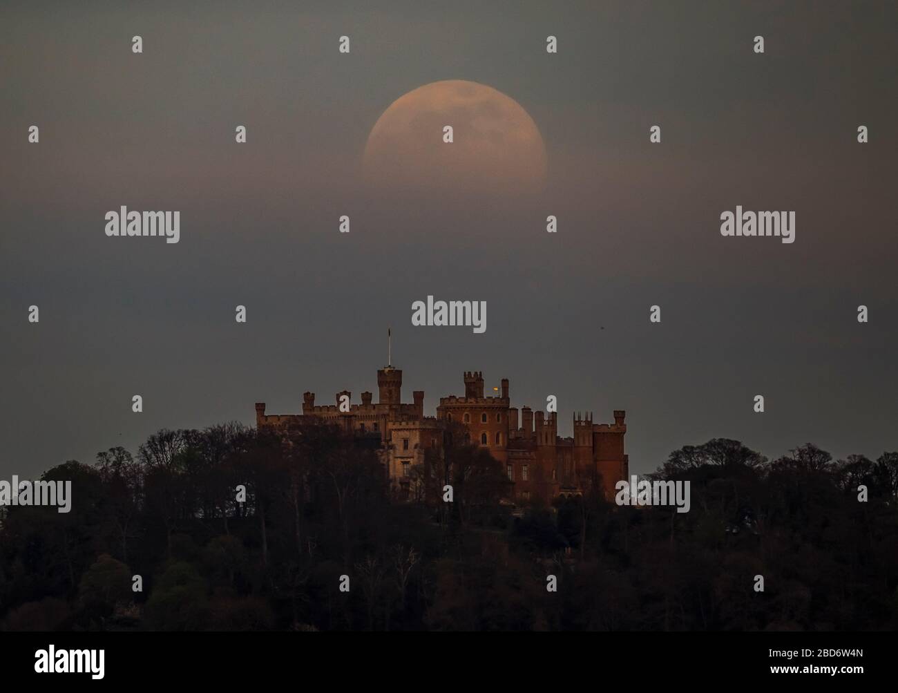 A pink supermoon is seen over Belvoir castle in Leicestershire. Despite its name, there is no actual colour change to the appearance of the lunar surface - it is a Northern Native American reference to an early-blooming wildflower, which starts to pop up in the US and Canada at the beginning of spring. Stock Photo