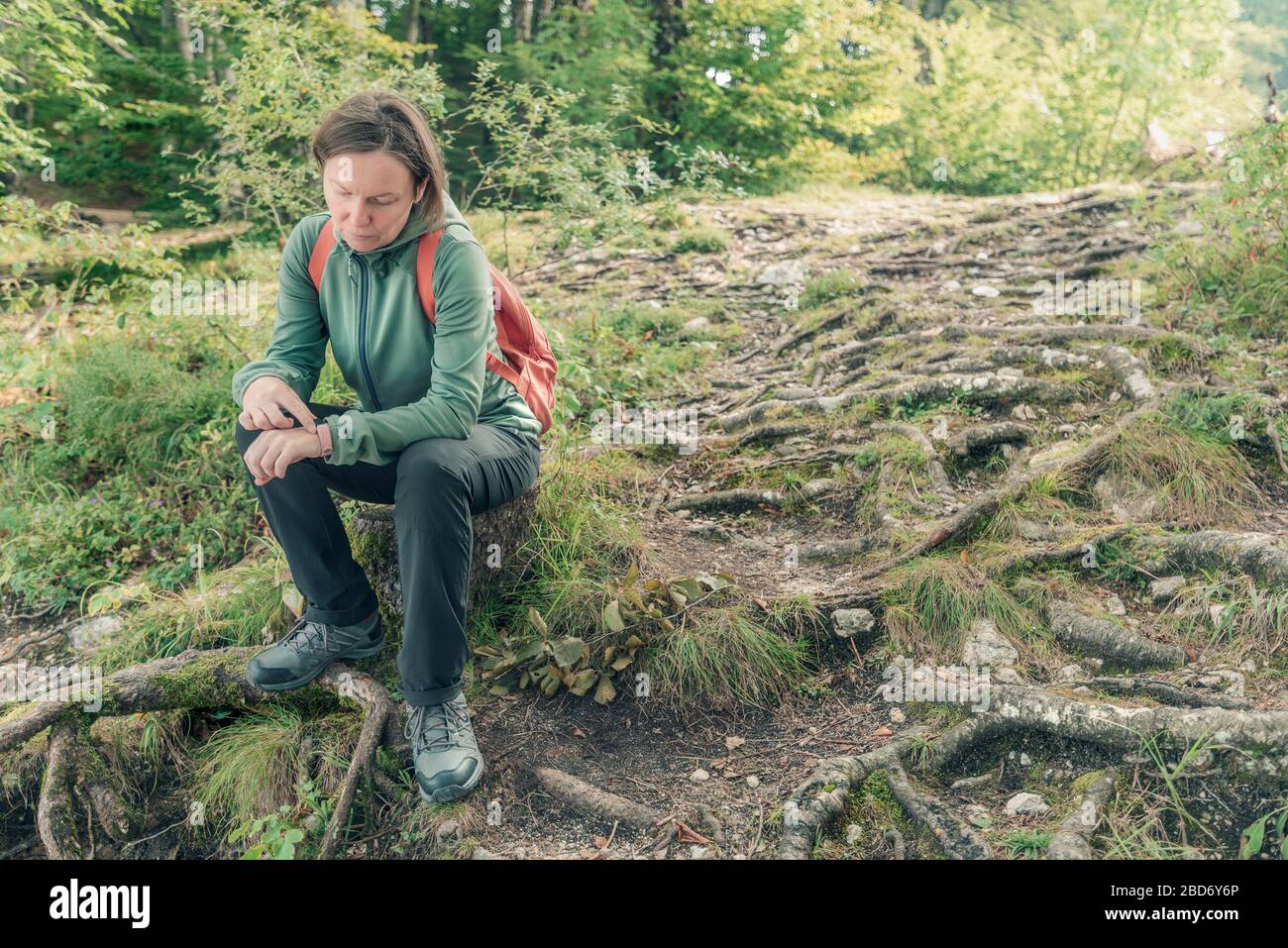 Female hiker checking on smart fitness tracker while resting on tree stump in forest Stock Photo