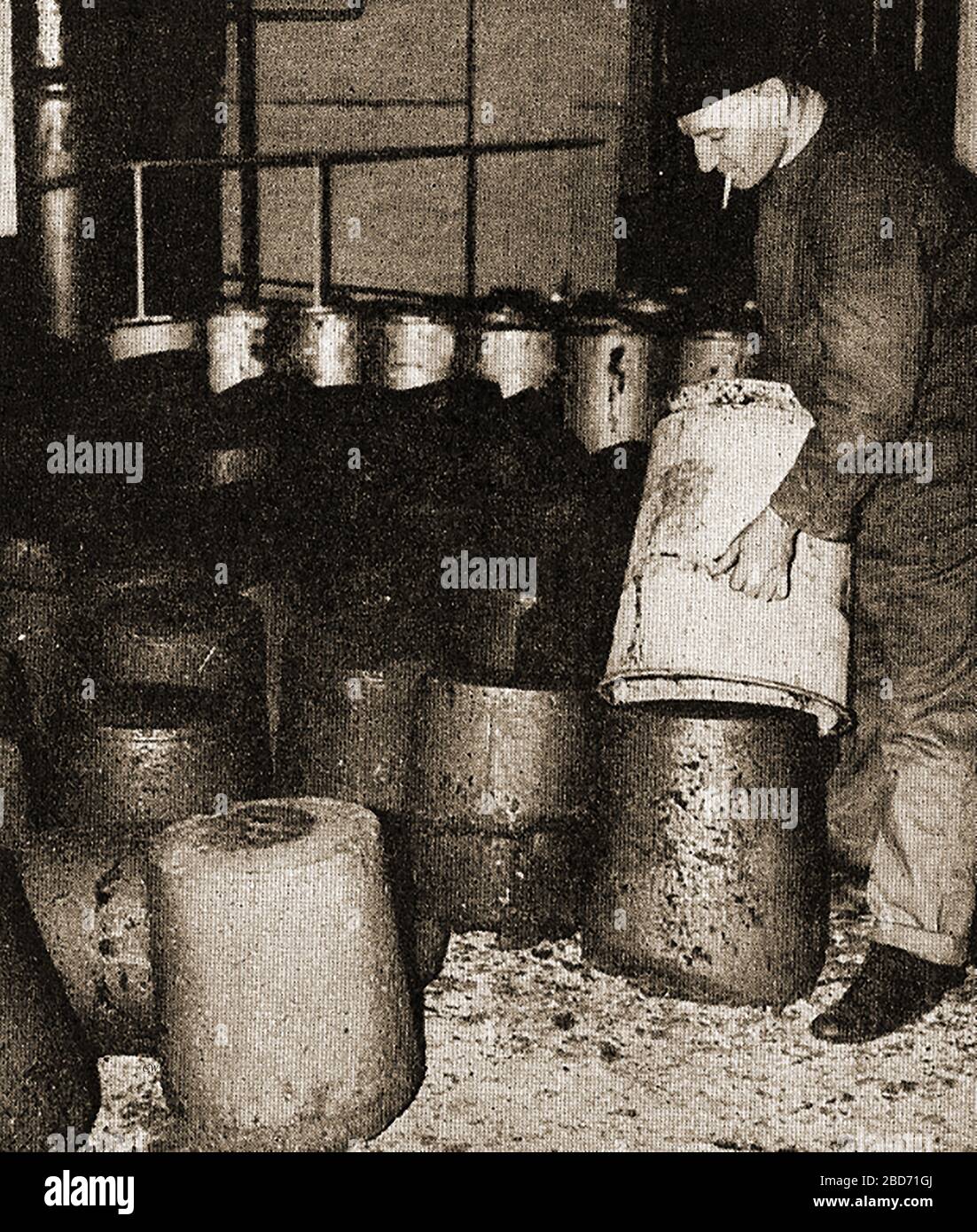 An early press photograph of kitchen waste (pigfeed puddings) made from waste that had been collected by the Westminster City Council Food Utilisation Plant. During the second world war, and for some time afterwards,  collections of   household food waste were collected and used as feed  in local municipal pig farms or boiled up as pig feed ‘puddings’ by special steam cookers. Pig clubs were even set up on school playing fields  to 'turn waste into ham and bacon' Stock Photo
