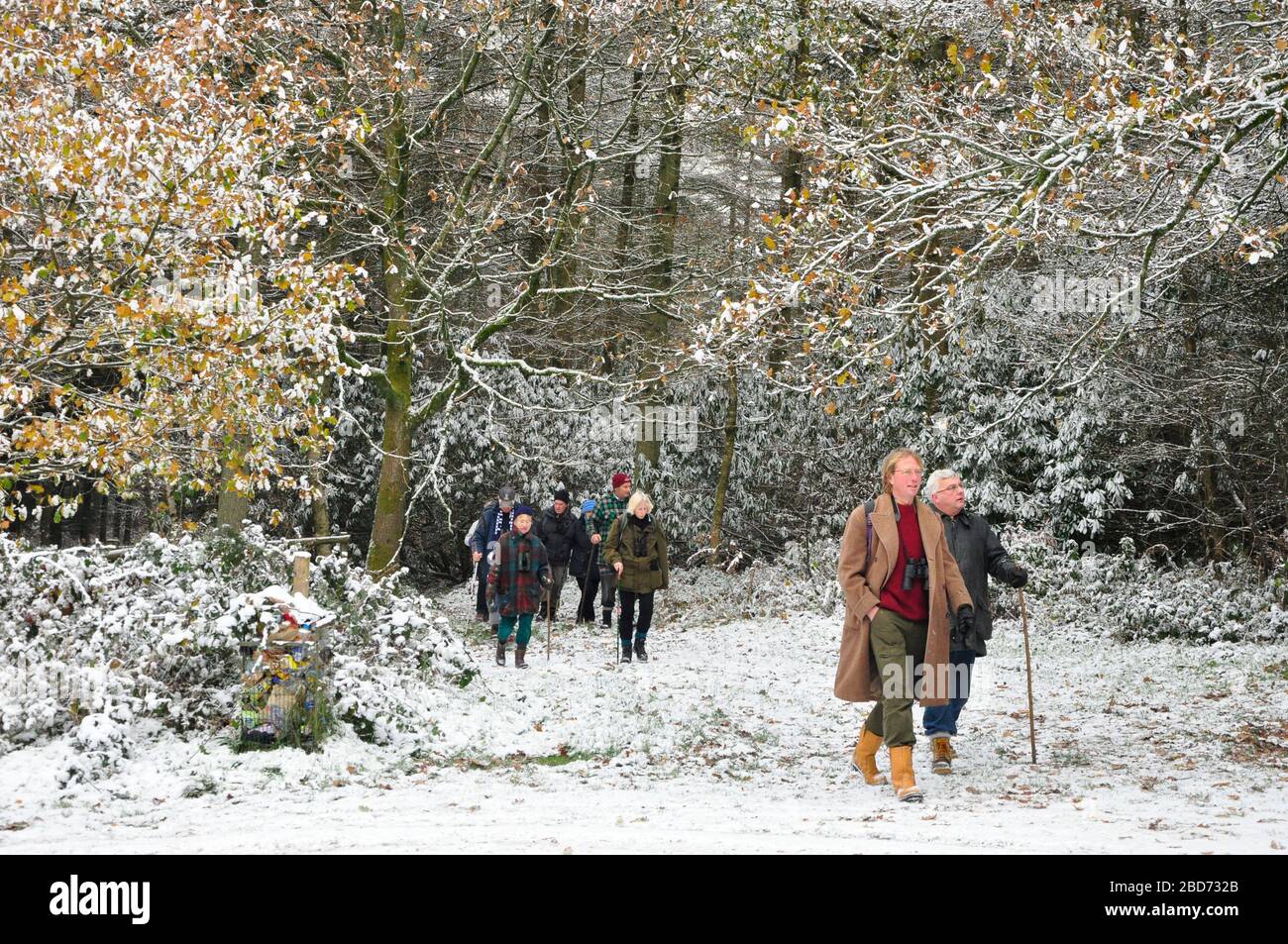 A party of birdwathers enter a snow covered clearing in a wood on the Wiltshire Somerset border.UK Stock Photo