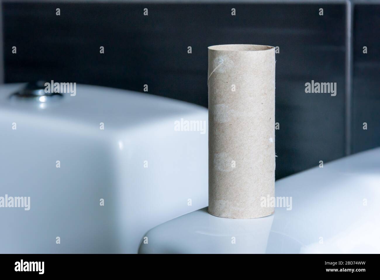 Empty toilet roll depicting helplessness and crisis,Sweden Stock Photo