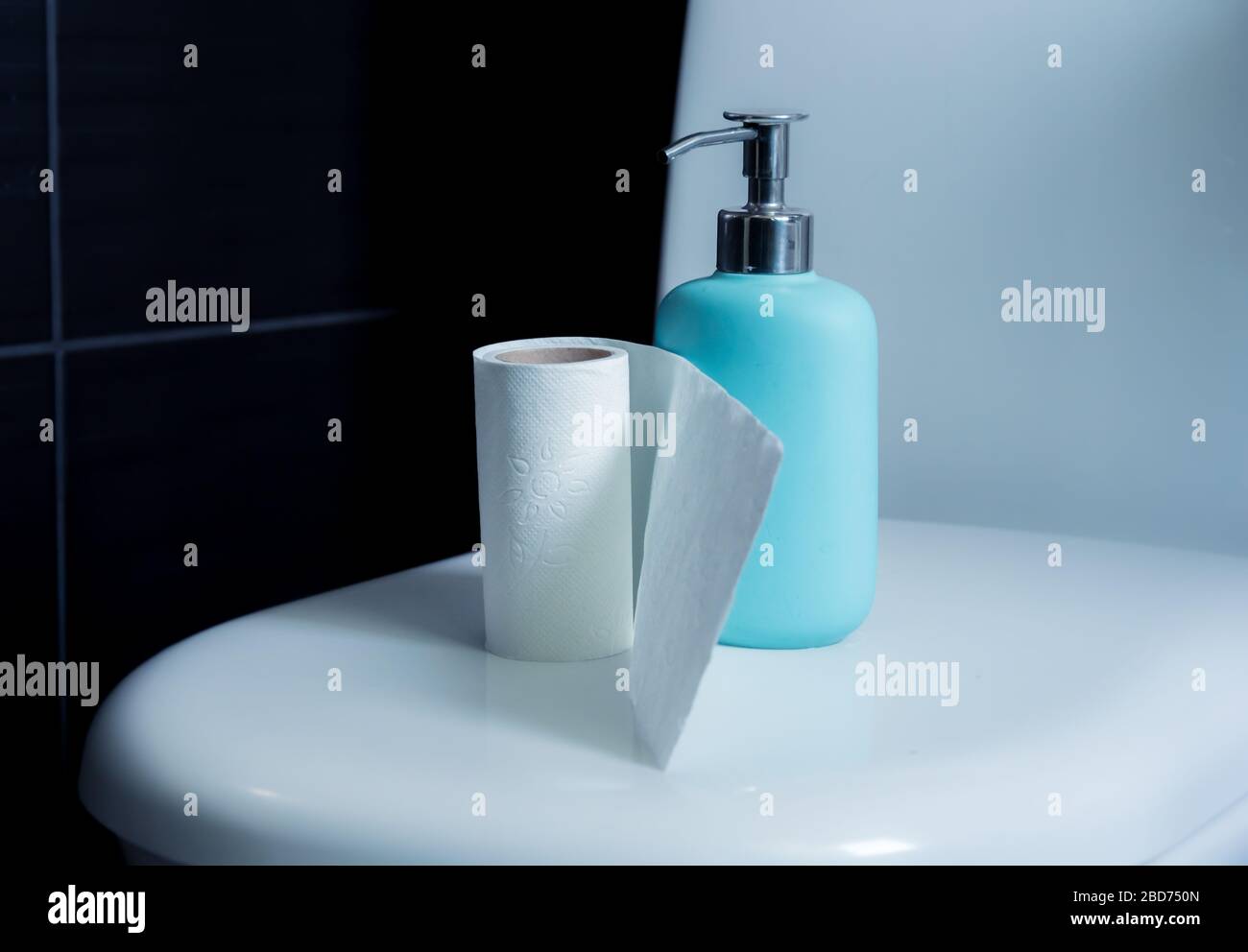 Toilet paper roll placed on a commod along with hand soap. Hygeine ...