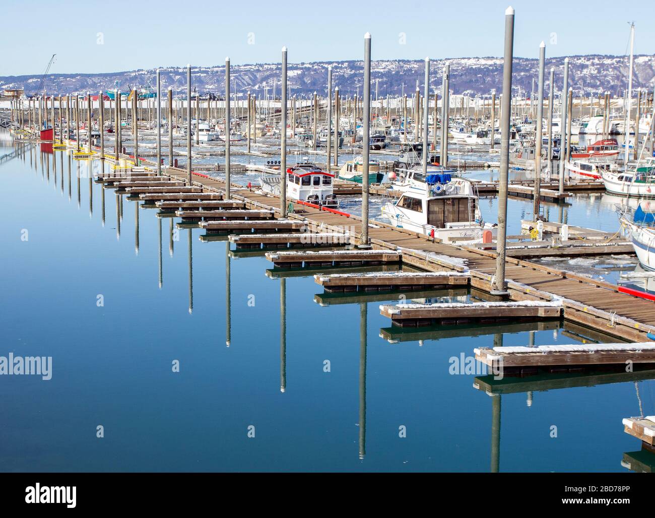 Marina in Homer Alaska Stock Photo Alamy