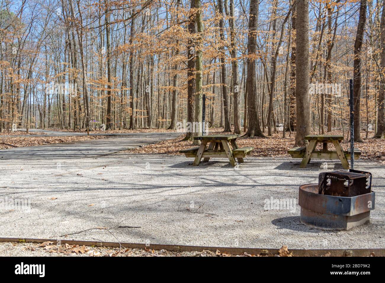 Empty camp sites at Twin Knobs Recreation Area adjacent to Cave Run Lake  in Kentucky Stock Photo