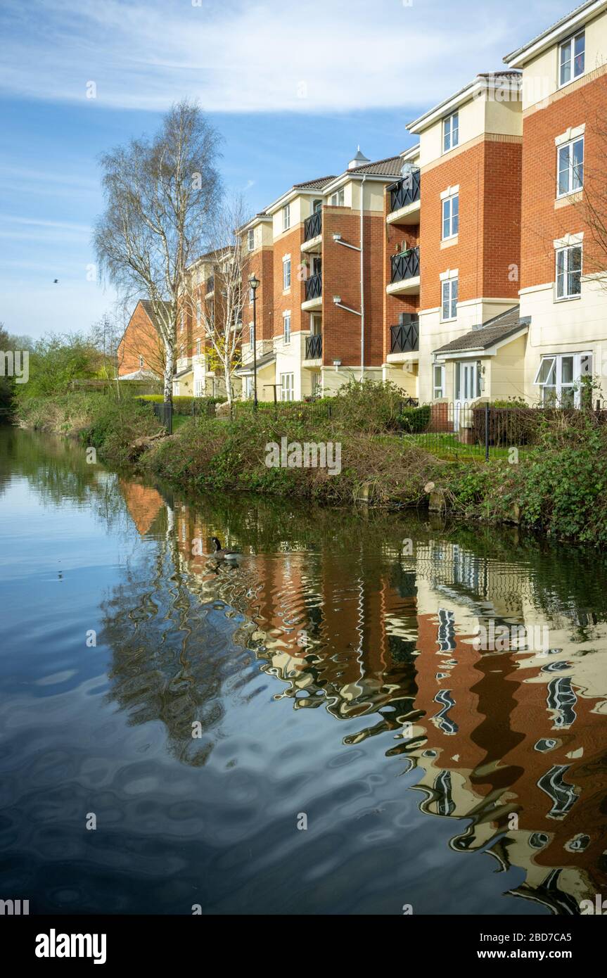 Housing development on a canalside, Cradley Heath, West Midlands UK Stock Photo