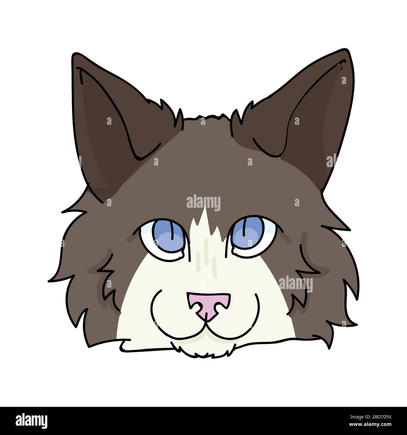 Cute cartoon ragdoll cat face vector clipart. Pedigree kitty breed for ...