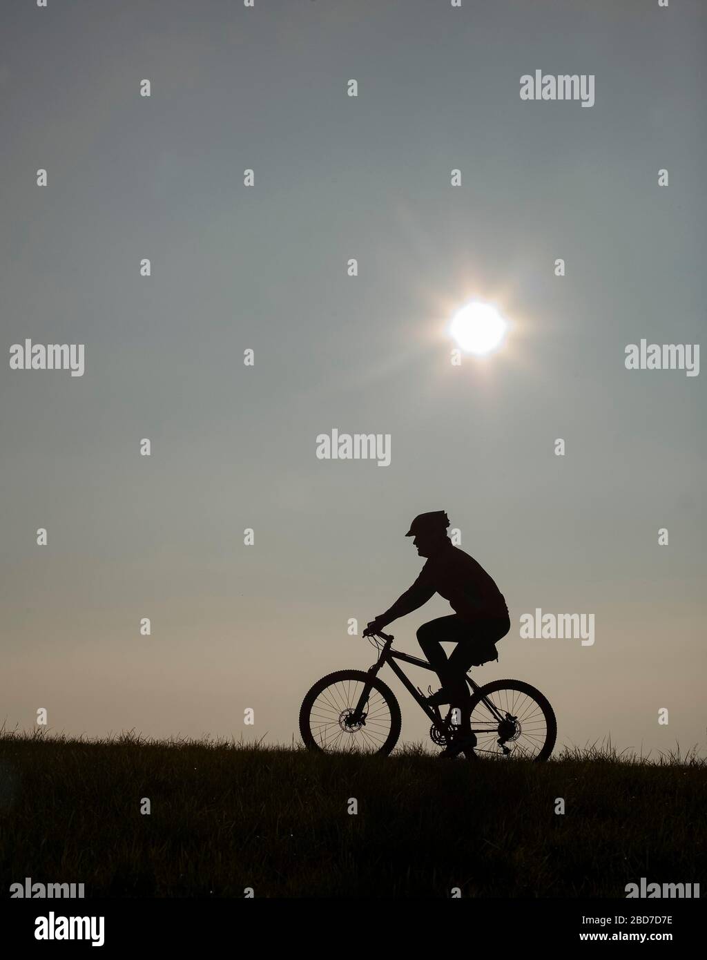 Cyclist on bike tour with mountain bike, silhouette against the light, Salzkammergut, Upper Austria, Austria Stock Photo