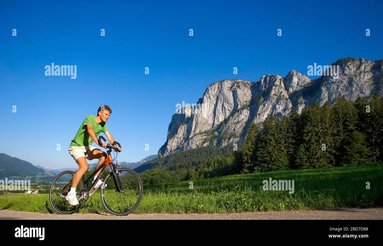 dragon mountain bike