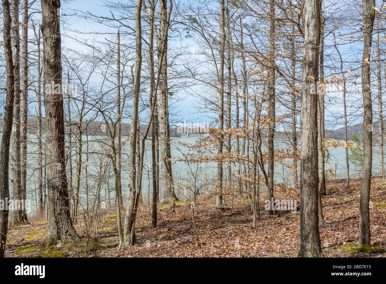 Twin Knobs Recreation Area in Kentucky Stock Photo Alamy
