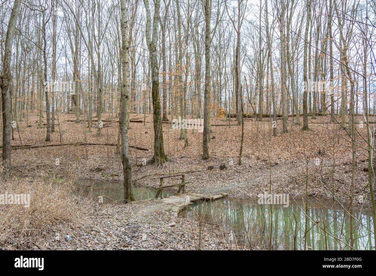 Twin Knobs Recreation Area in Kentucky Stock Photo Alamy