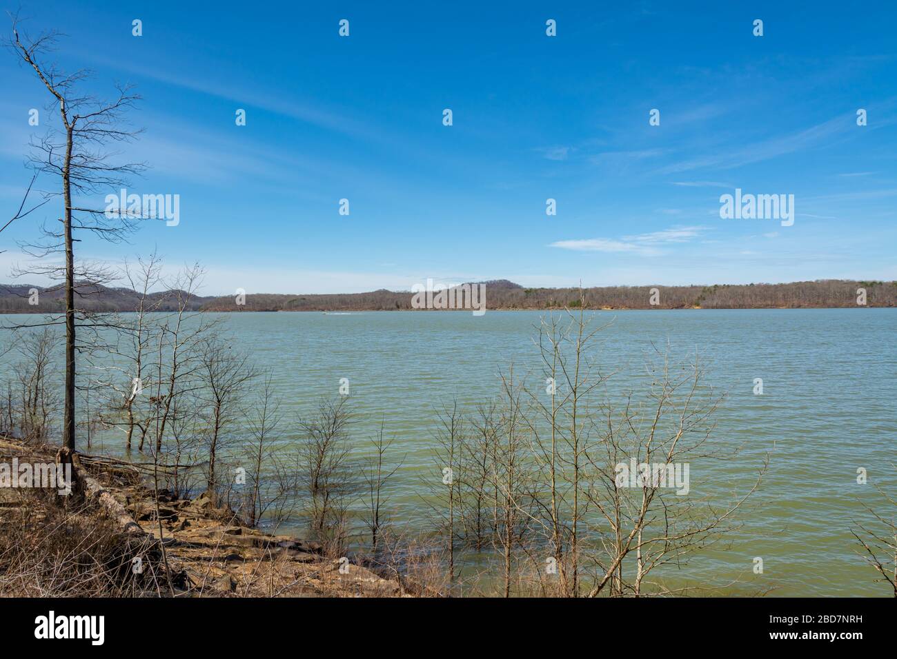 Cave Run Lake in Kentucky Stock Photo Alamy
