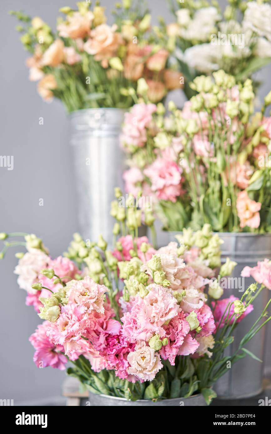 Bouquet of Beautiful pink, white, green color eustoma in vase . Spring flowers in the cold room of the flower shop. Stock Photo