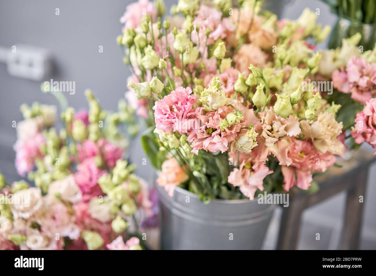 Bouquet of Beautiful pink, white, green color eustoma in vase . Spring flowers in the cold room of the flower shop. Stock Photo