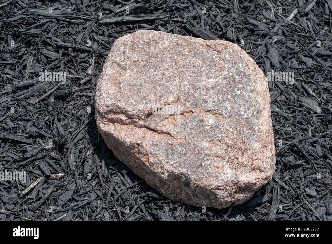 A large flat rock fills space in the garden surrounded by black mulch in Missouri. Bokeh effect. Stock Photo