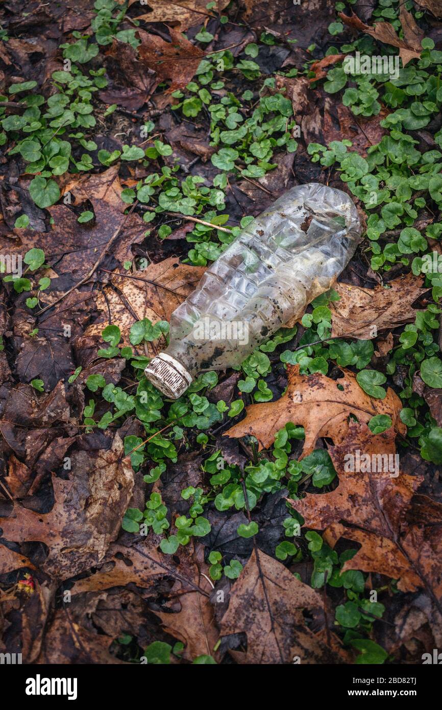 Plastic Pollution in nature. Plastic garbage waste that pollutes natural nature scenes. Taken to spread awareness about the environmental damage. Stock Photo
