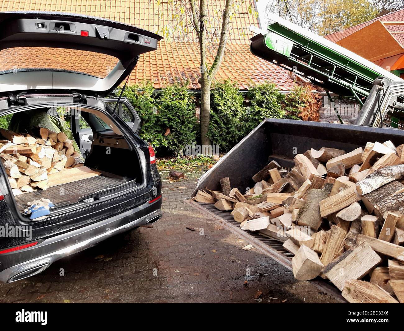 transferring a loose cubic metre firewood from a shovel of a tractor into a car trunk, Germany Stock Photo