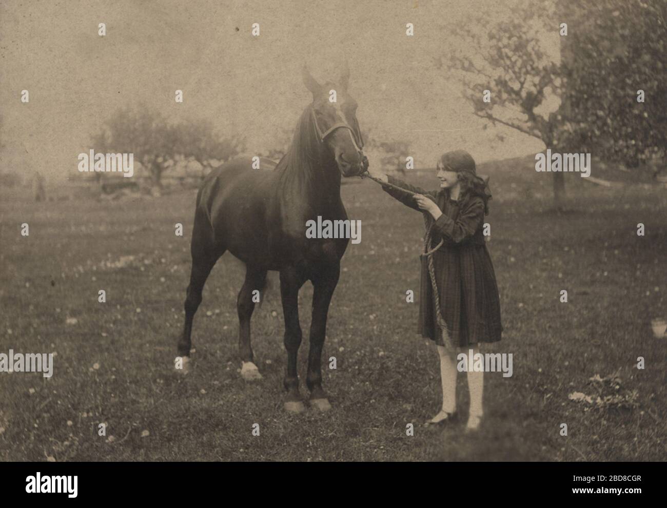 'English: Photographer: Reuben R. Sallows (1855 - 1937) Description:  Young girl stands, facing left, holding lead of a horse. Girl wears knee-length dark dress, white tights, black shoes; long hair tied back with large bow. Horse has white blaze and markings at rear hooves. Tree at right of frame and in upper left quadrant. Sallow imprint in lower right corner of matte. Object ID : 0477-rrs-ogohc-ph  Order a higher-quality version of this item by contacting the Huron County Museum (fee applies).; 15 August 2014, 12:47:53; https://www.flickr.com/photos/124448282@N08/16879735086/; Huron County Stock Photo