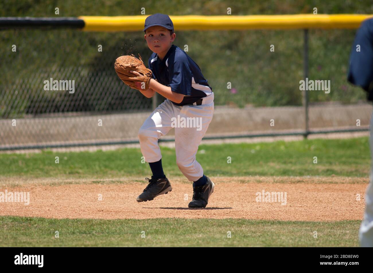 Little League baseball infielder fielding a ground ball Stock Photo