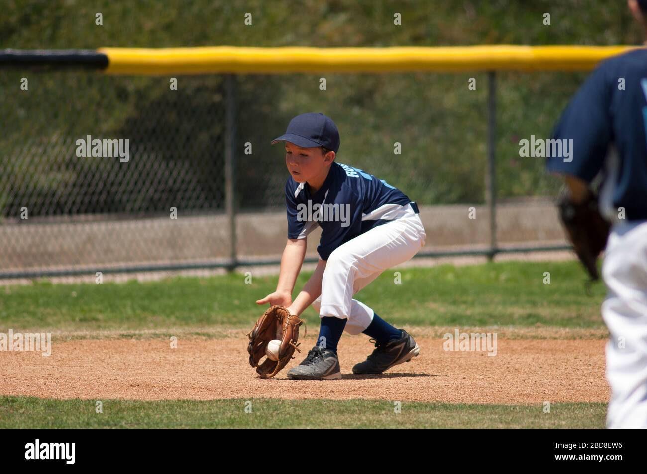 Little League baseball infielder fielding a ground ball Stock Photo