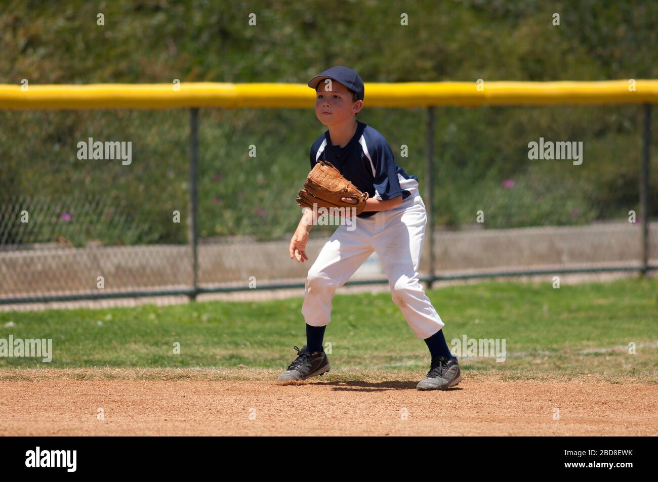 Little League baseball infielder ready for a ground ball Stock Photo